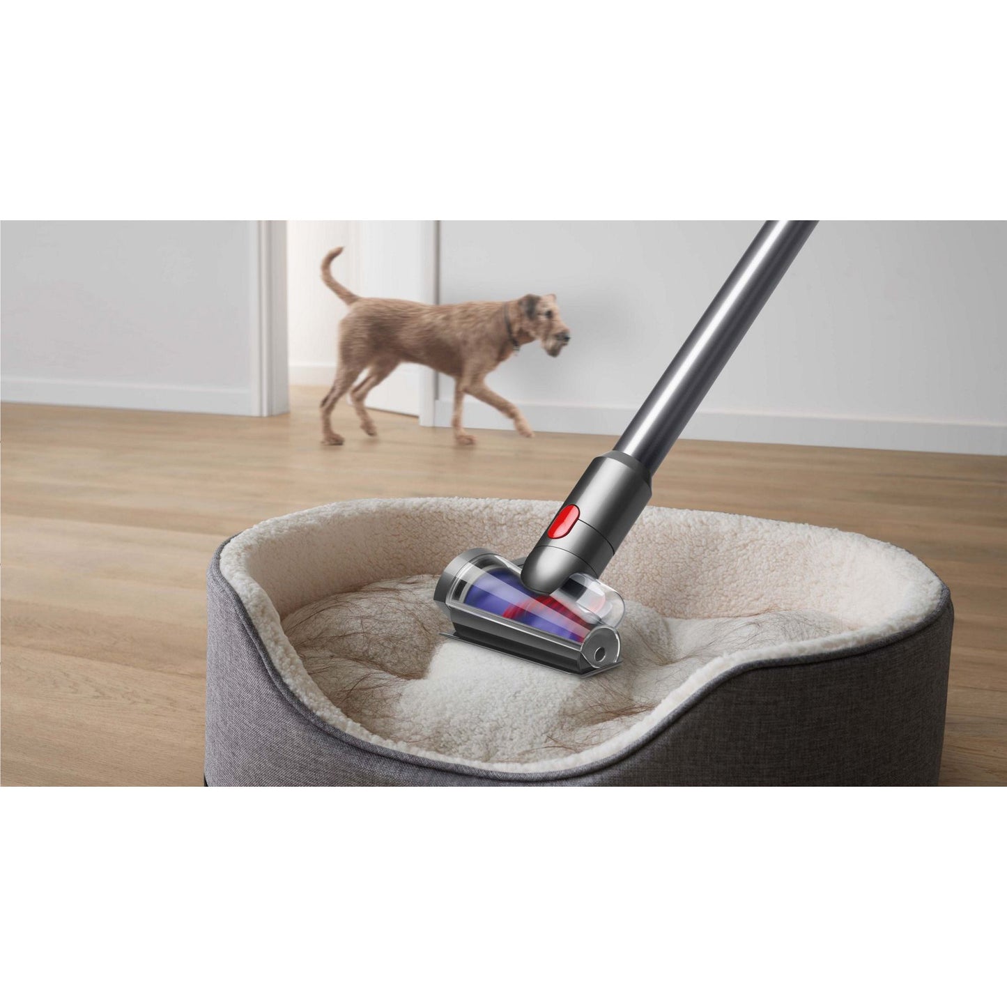 Dyson V8 Absolute Cordless Vacuum Cleaner