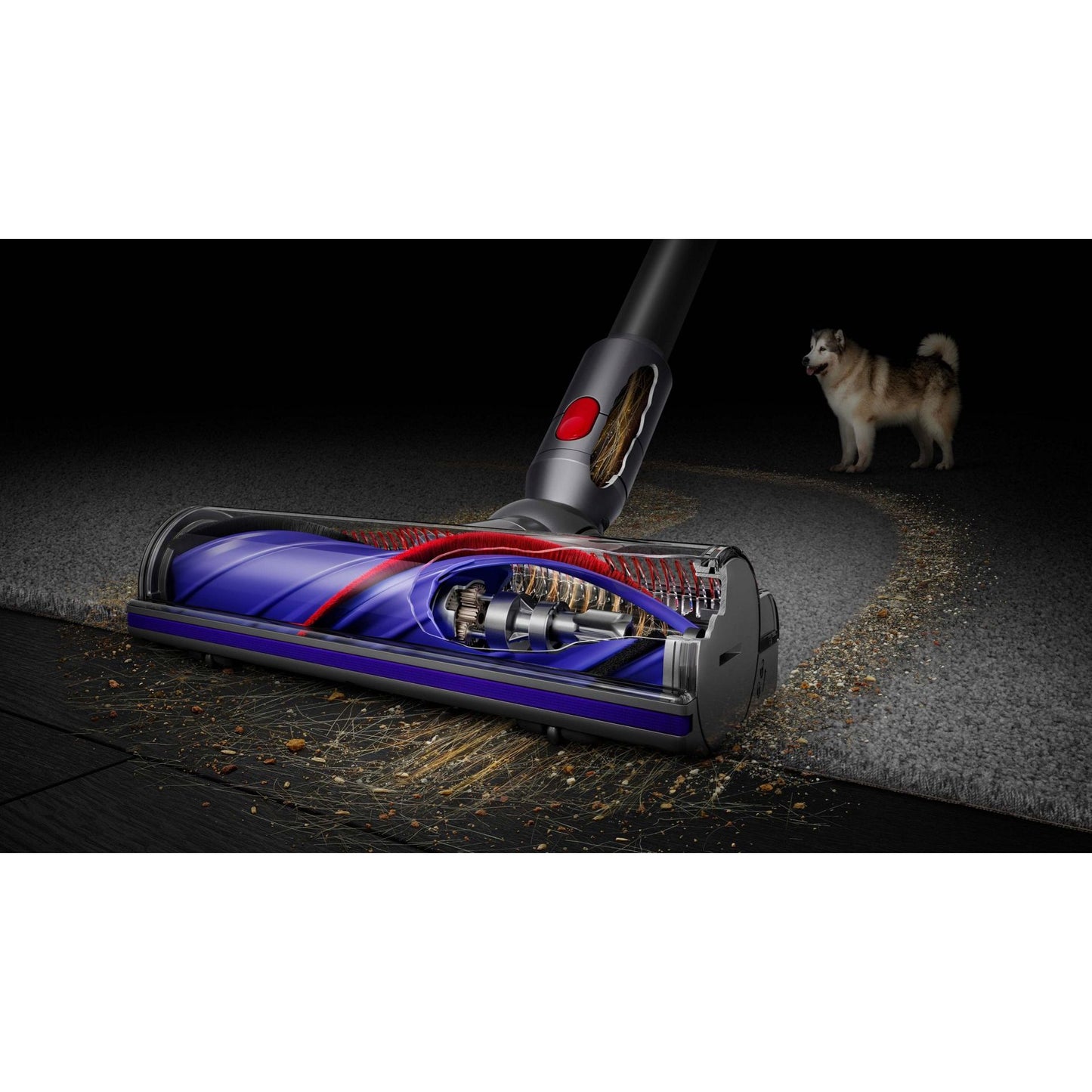 Dyson V8 Absolute Cordless Vacuum Cleaner