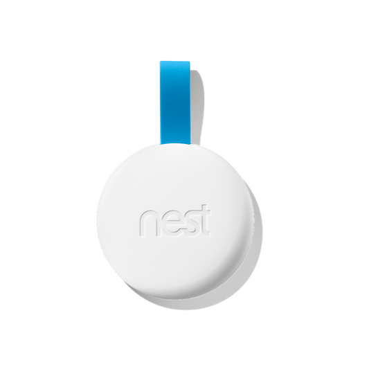 Google Nest Tag